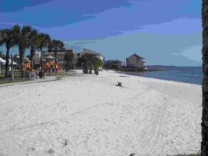 Best Seashell Beaches in Florida