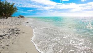 best seashell beaches in Florida